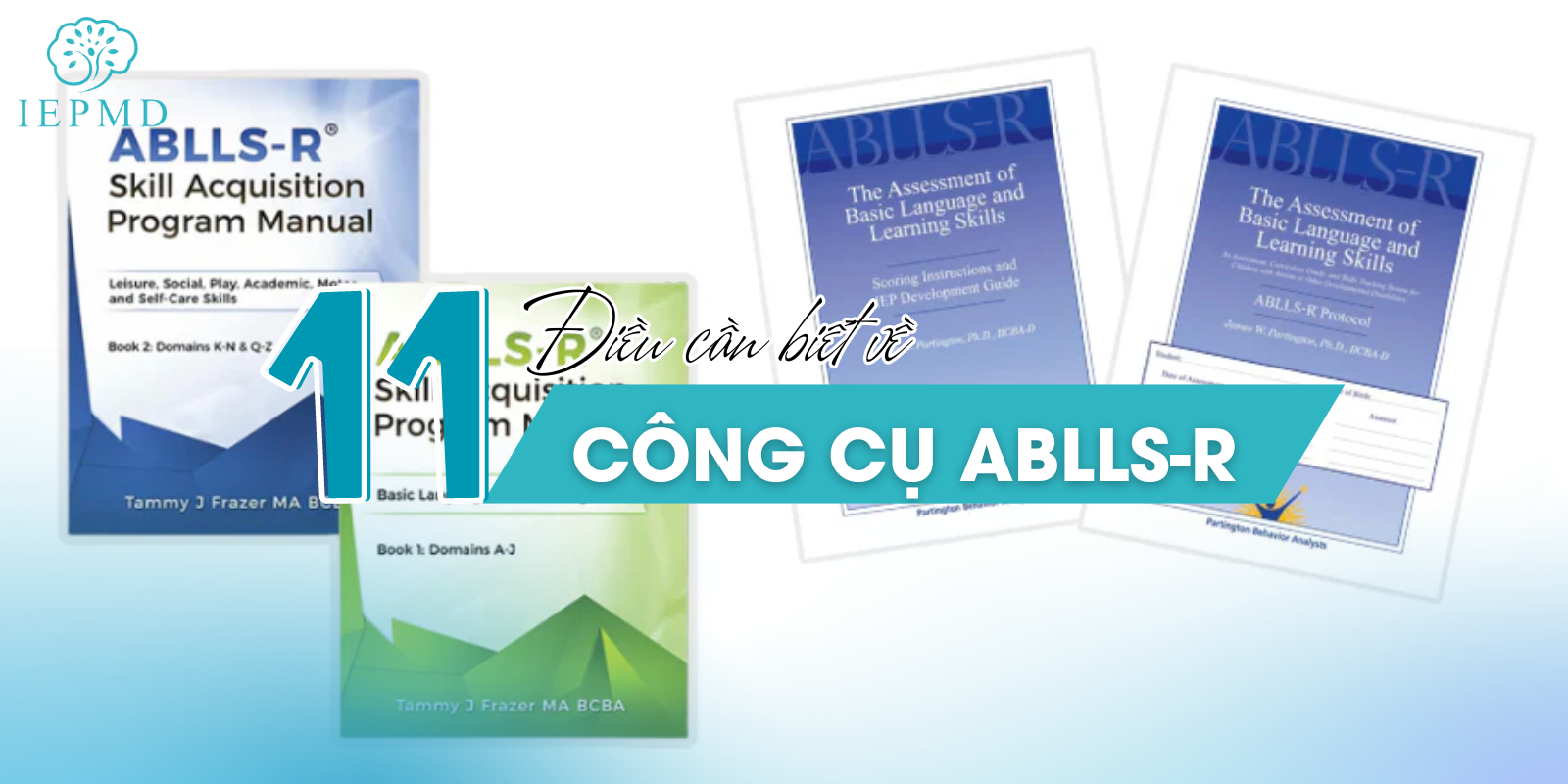 hình ảnh 11 điều cần biết về ablls-r